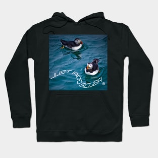 SCUBA PUFFINS Hoodie